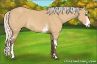 Horse Color:White Spotted Silver Bay Roan Dun Splash Frame Rabicano