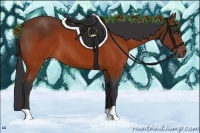 Horse Color:Brown 
