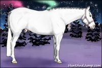 Horse Color:Silver Classic Champagne Splash Frame Appaloosa