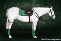 Horse Color:Buckskin Roan Tobiano Blanket 