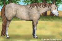 Horse Color:Grullo Ice Pearl Sabino Brindle