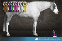 Horse Color:Blue Roan Splash 
