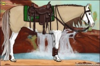 Horse Color:Red Dun Splash 