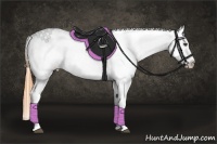 Horse Color:Buckskin Dun Appaloosa