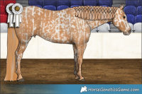 Horse Color:Bay Dun Sabino Splash Appaloosa Rabicano Brindle