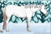 Horse Color:Bay Tobiano Near Leopard 