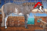 Horse Color:Liver Chestnut Sabino Splash Frame Varnish 