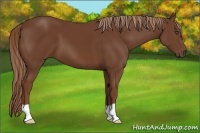 Horse Color:Chestnut Frame