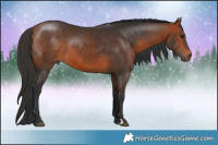 Horse Color:Brown 