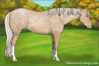 Horse Color:Silver Black Ice Pearl 