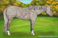 Horse Color:Silver Grullo Ice 