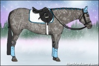 Horse Color:Grullo Ice