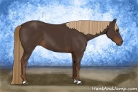 Horse Color:Liver Chestnut 
