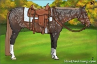 Horse Color:Liver Chestnut Ice 