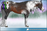 Horse Color:White Spotted Brown Sabino Splash Rabicano 