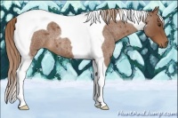Horse Color:Red Roan Tobiano 