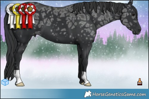 Horse Color:Black Ice  Brindle