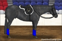 Horse Color:Black  Brindle