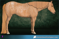 Horse Color:Brown Pearl  Brindle