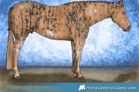 Horse Color:White Spotted Black Splash Frame  Brindle