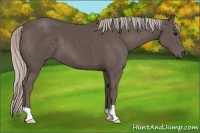 Horse Color:Silver Black 