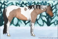 Horse Color:Buckskin Roan Tobiano 