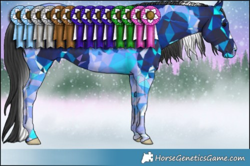 Horse Color:Black Tobiano 