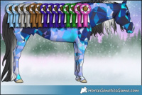 Horse Color:Black Tobiano 
