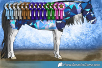 Horse Color:Black Tobiano