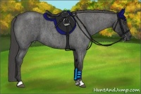 Horse Color:Blue Roan  Brindle