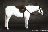 Horse Color:White Spotted Grullo Roan Appaloosa 