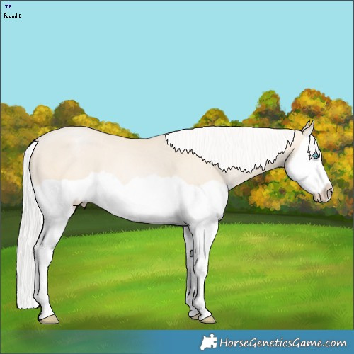 Horse Color:Silver Smoky Black Pearl Splash 