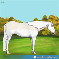 Horse Color:Silver Smoky Black Pearl Splash 
