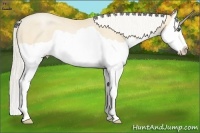 Horse Color:Silver Smoky Black Pearl Splash