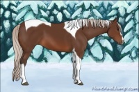 Horse Color:Silver Brown Sabino Tobiano