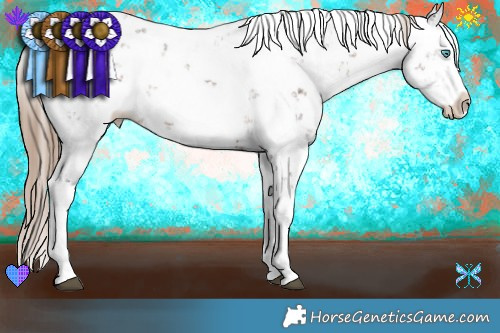 Horse Color:Liver Chestnut Sabino Splash Rabicano Brindle