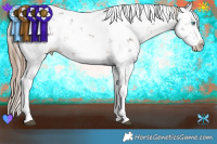 Horse Color:Liver Chestnut Sabino Splash Rabicano  Brindle