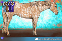 Horse Color:Liver Chestnut Sabino Splash Rabicano  Brindle