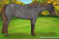 Horse Color:Liver Red Roan 