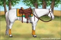 Horse Color:Brown Splash Appaloosa Rabicano  Brindle
