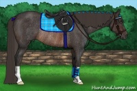 Horse Color:Brown Rabicano Brindle