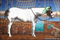 Horse Color:White Spotted Brown Tobiano Frame Rabicano  Brindle