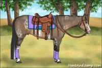Horse Color:White Spotted Brown Dun Splash  Brindle