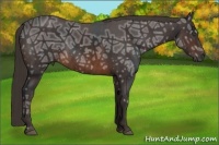 Horse Color:Brown Ice Rabicano  Brindle