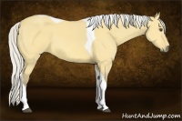 Horse Color:Silver Buckskin Dun Tobiano 