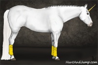 Horse Color:Silver Brown Dun Tobiano Appaloosa