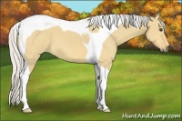 Horse Color:Silver Buckskin Dun Tobiano