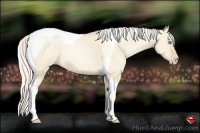 Horse Color:Silver Buckskin Pearl Dun Tobiano 