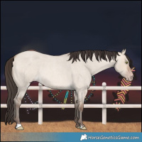 Horse Color:Amber Champagne Roan Dun
