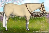 Horse Color:Silver Buckskin Dun Tobiano 